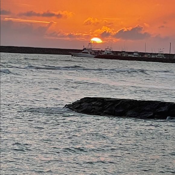 Meet your Posher, Shayla - Picture 15 of 16